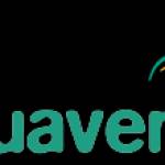 lengua ventura Profile Picture