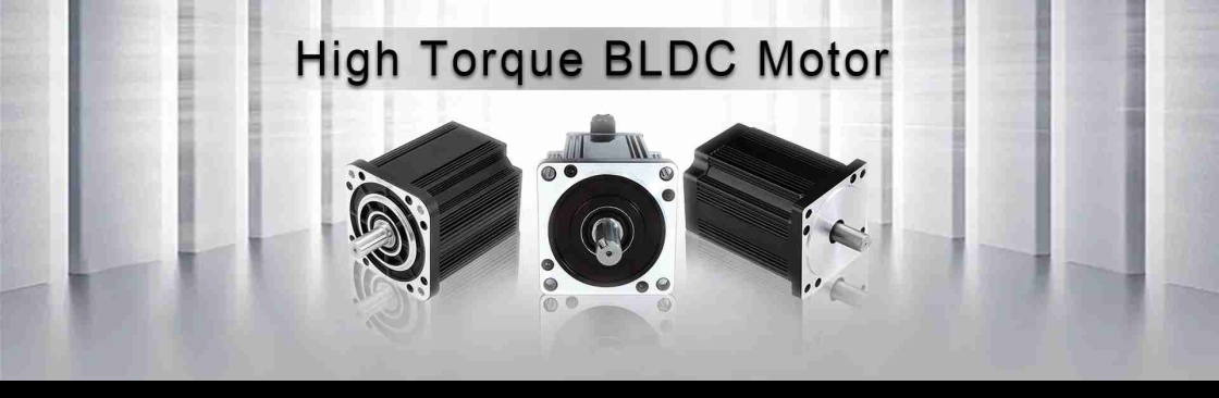 BLDC Electric Motor Supplier Cover Image