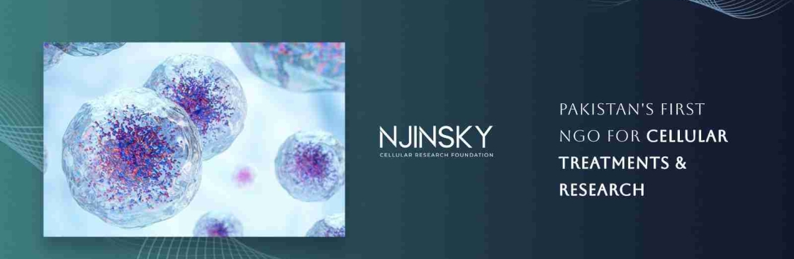 Njinsky Foundation Cover Image