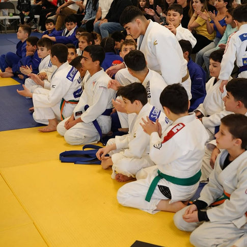 How Belt Milestones Keep Kids Motivated and Engaged | ChatsLine